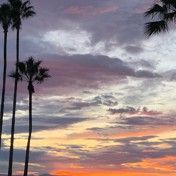 Meet your Posher, Catherine - Picture 1 of 1